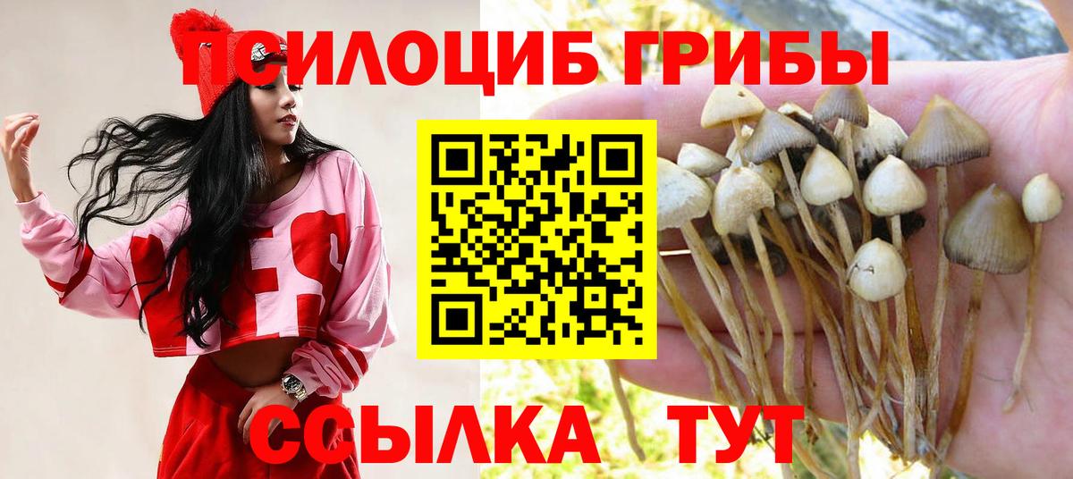 Лениногорск  Галлюциногенные грибы мухоморы  Вход с VPN 